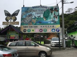 Cameron Highland Butterfly Farm by Super W