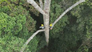 PASUKAN PEMANJAT POKOK TERLATIH JABATAN PERHILITAN